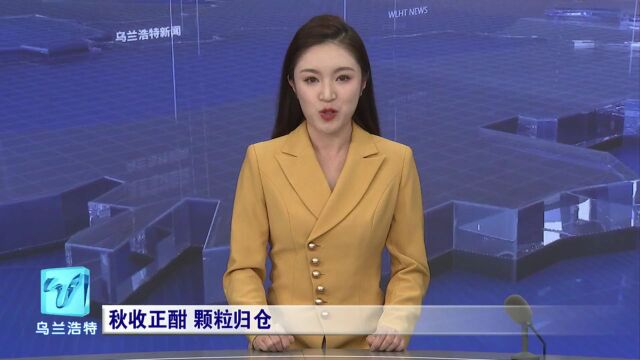 乌兰浩特市:秋收正酣 颗粒归仓