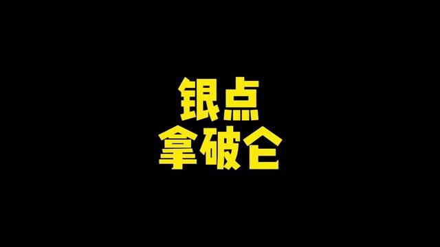 #猫咪 银点拿破仑和纯白拿破仑的区别,银点拿破仑品相如何挑选#拿破仑矮脚猫 #银点拿破仑