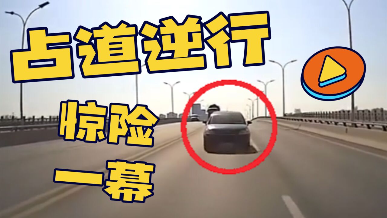 忍无可忍!什么驾校毕业的,竟能做这等“害人害己”的事?