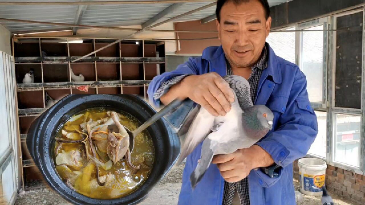 自家的鸽子炖上一锅汤,汤鲜味美,肉不腥不柴,滋补又润燥