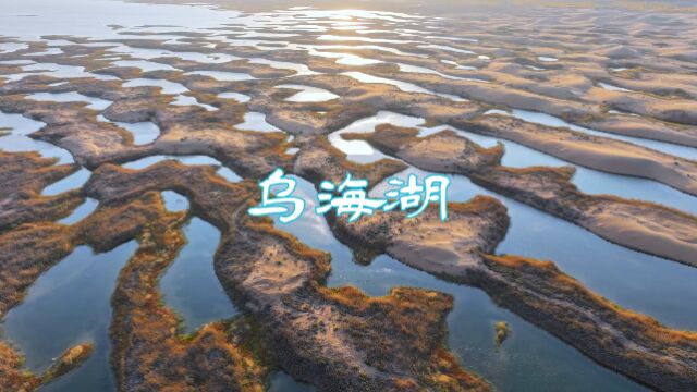 青山绿水看内蒙古|乌海湖——水绕城转,城因水活(拍摄:内蒙古VLOG王慧明)