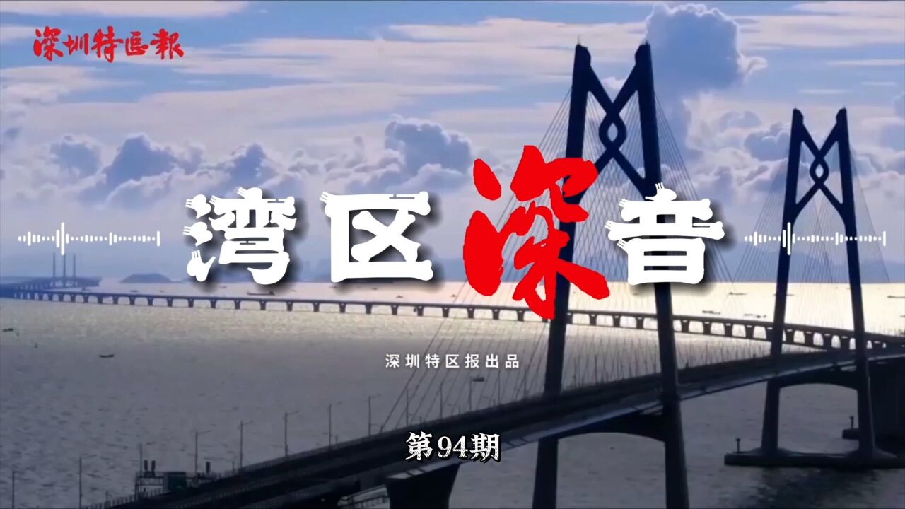 湾区深音|钟若愚:强化服务链作用,推动粤港澳科技服务协同创新