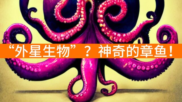 “外星生物”?神奇的章鱼!