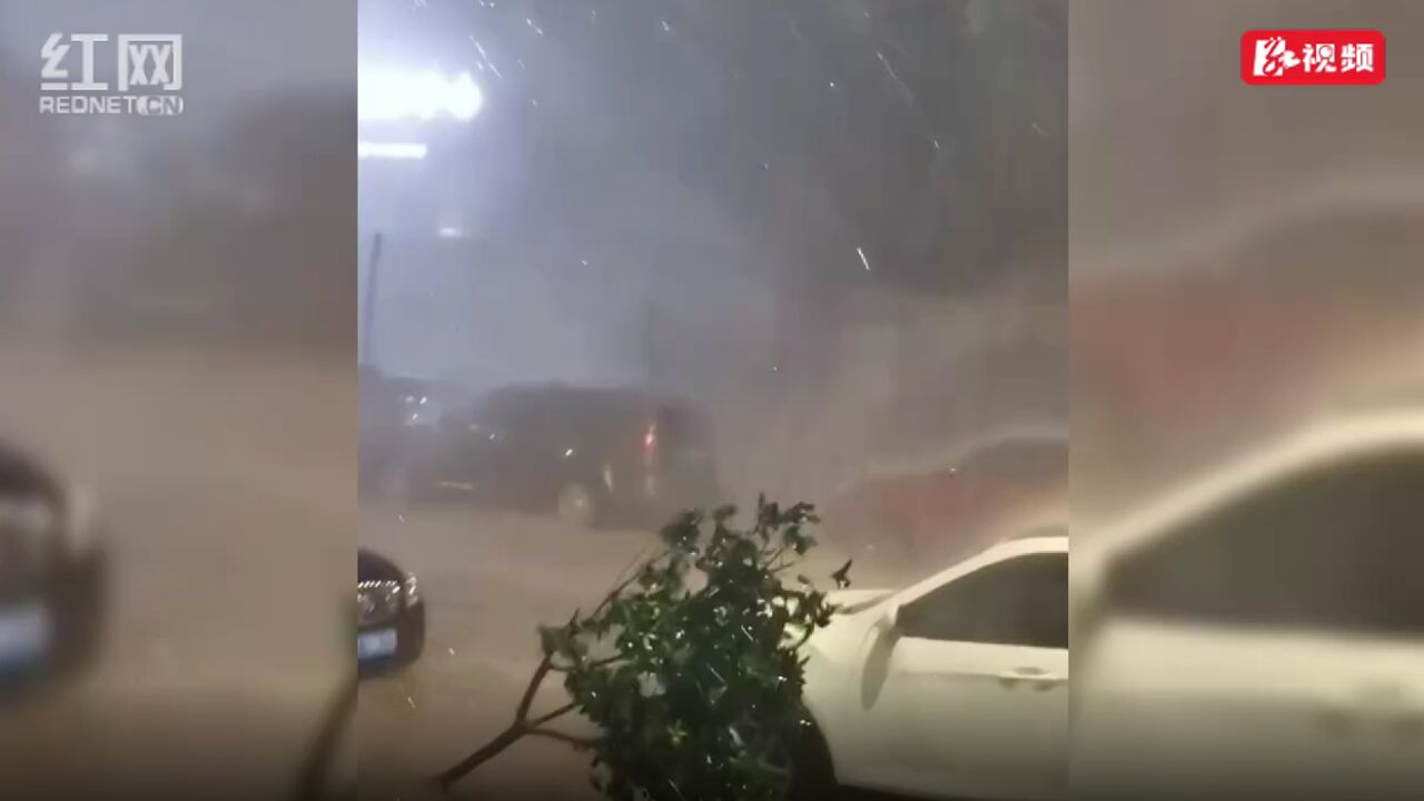 新田:暴风雨致城区内涝 多部门紧急排涝除险