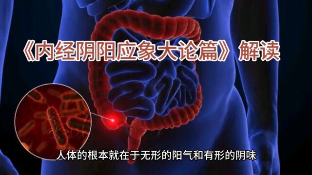 《内经阴阳应象大论篇》解读