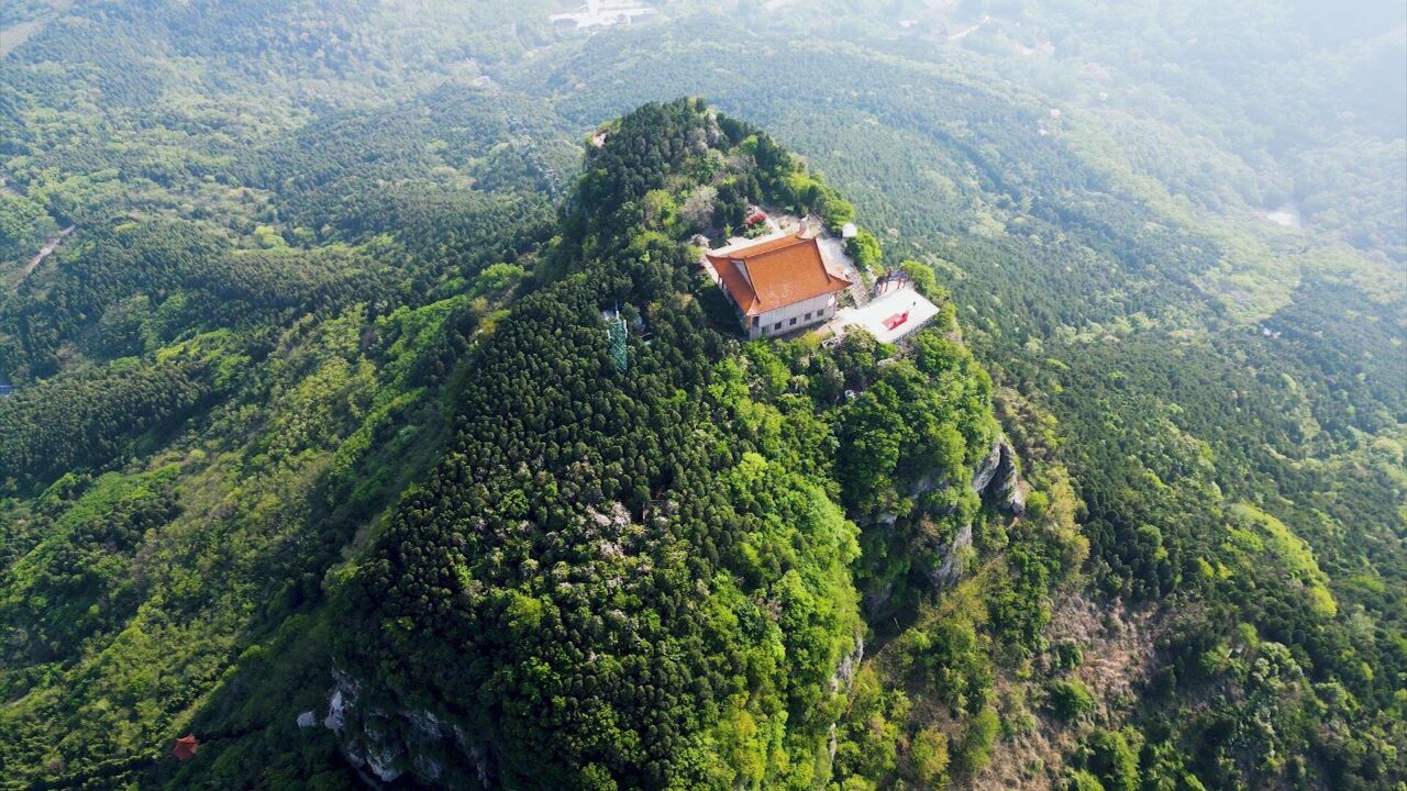 满目苍翠万木竞秀 枣庄山亭这处“天然氧吧”等你来打卡