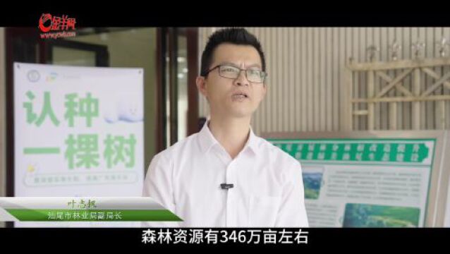 视频丨“含绿量”赋能“含金量”,“绿美”走出一条生态惠民路