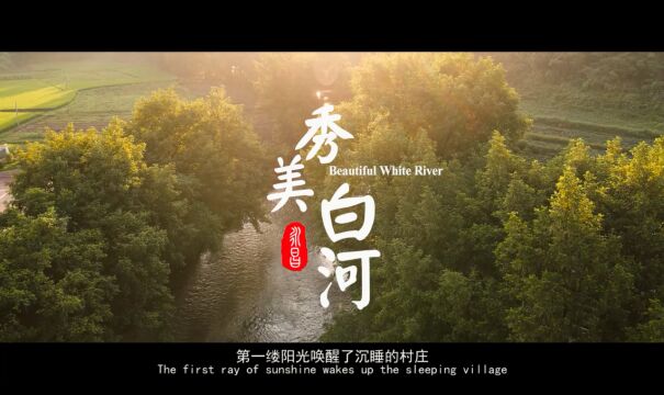 美丽河湖丨白河永昌街道段:创建“示范河”打造“幸福河”