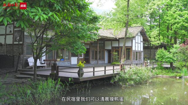 打卡和美乡村消费新场景|邛崃天府红谷,隐于山水间的世外桃源