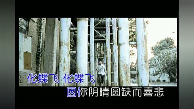 花儿乐队化蝶飞国语流行歌曲