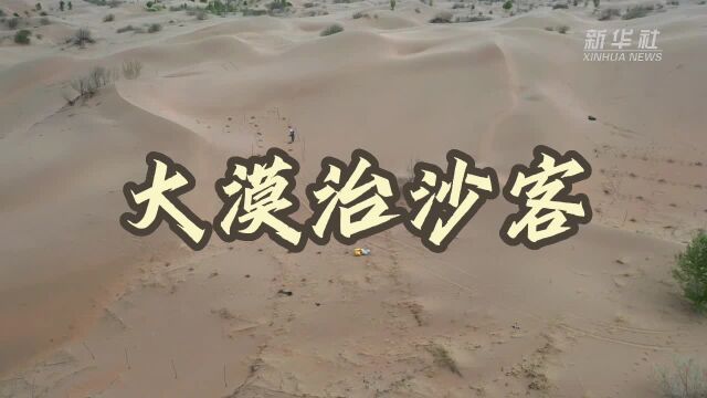 大漠治沙客