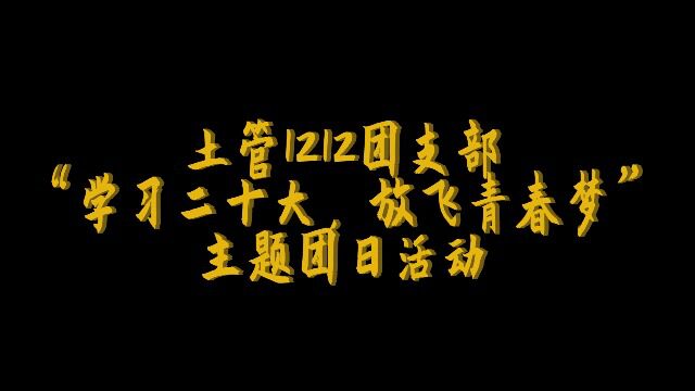 学习二十大放飞青春梦主题团日活动