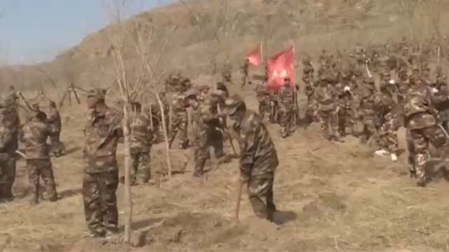 辽宁彰武:民兵植树造林为沙地添新绿