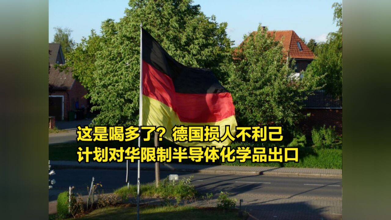 这是喝多了?德国损人不利己,计划对华限制半导体化学品出口