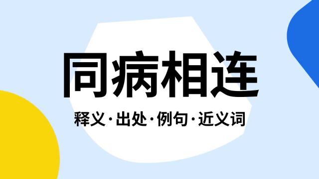 “同病相连”是什么意思?