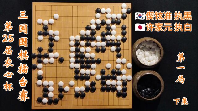 第25届农心杯三国围棋擂台赛第一局许家元vs偰铉准下集