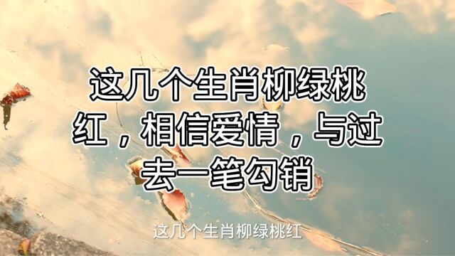 这几个生肖柳绿桃红,相信爱情,与过去一笔勾销