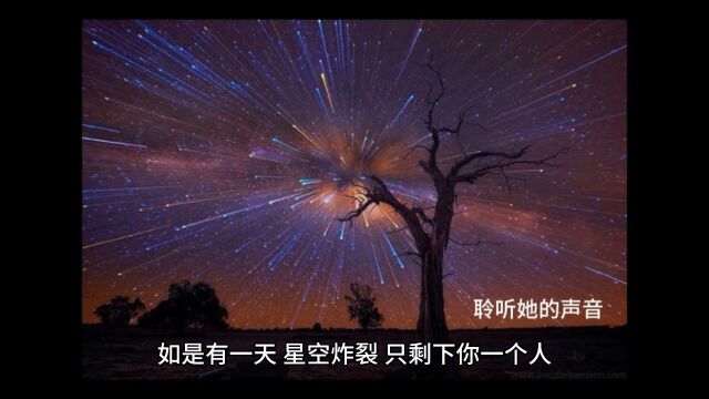 星空下的我