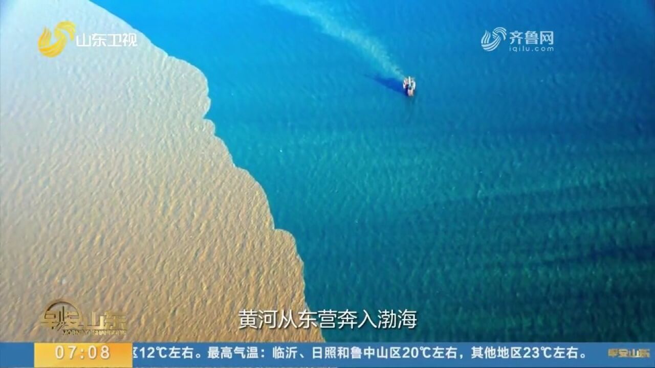 黄河入海,我们回家!沉浸式体验东营黄河入海口生态之美