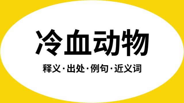 “冷血动物”是什么意思?