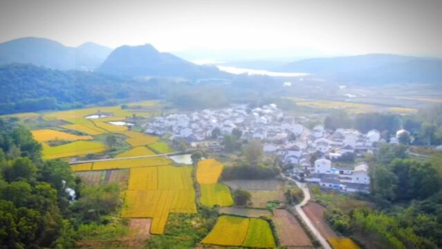 山乡美如画.金秋时节,江苏句容下蜀镇范巷村,青山环绕,稻田金黄.傍晚时分,一片片青黄相间的稻田交织成一幅色彩明快的生态画卷,令人