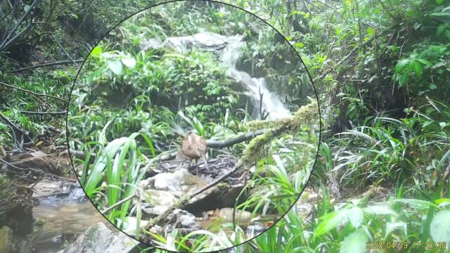 早安,地球村丨江西6个地理标志产品入选全国百强