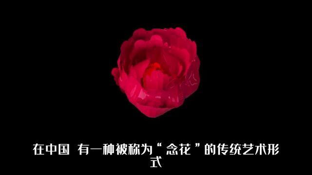 你知道有一种花叫“念花”吗