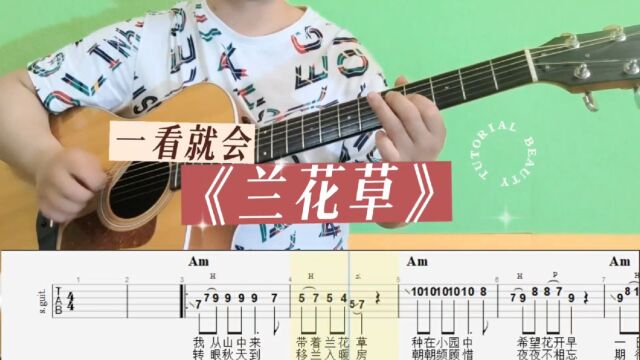 兰花草 吉他单音solo 吉他谱