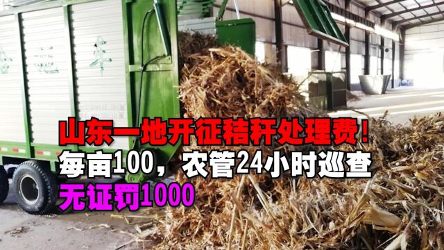 山东一地收秸秆处理费每亩100元,执法人员24小时全天候巡查