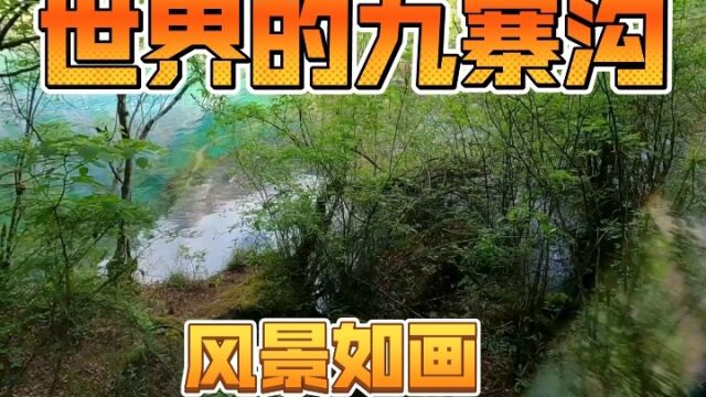 四川的成都,世界的九寨沟!风景如画!