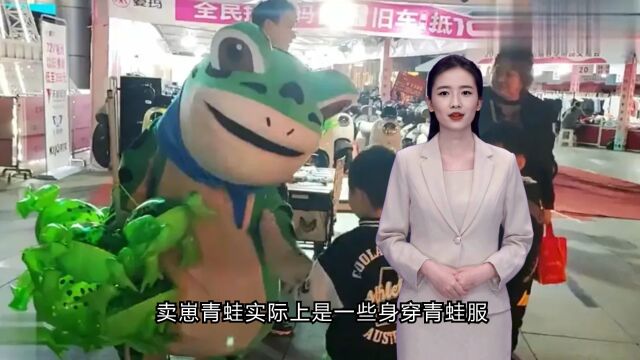 “卖崽青蛙”火遍全网,却在上海落网!他们到底犯了什么罪?