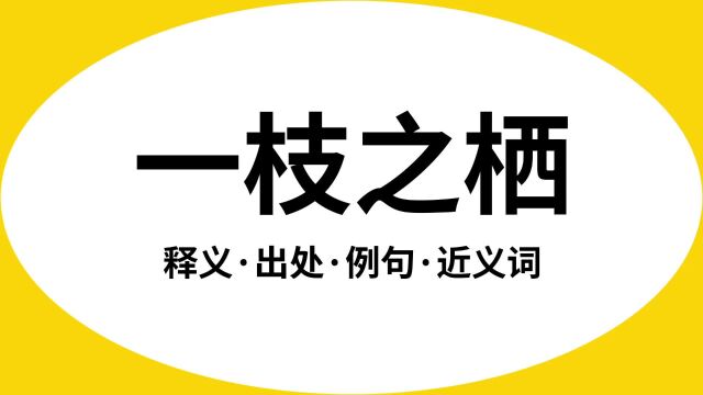 “一枝之栖”是什么意思?