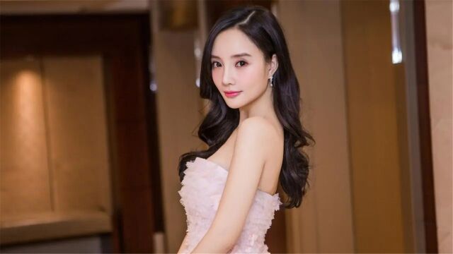 李小璐持股公司曾被执行624万余元:注册资本1000万,持股2%