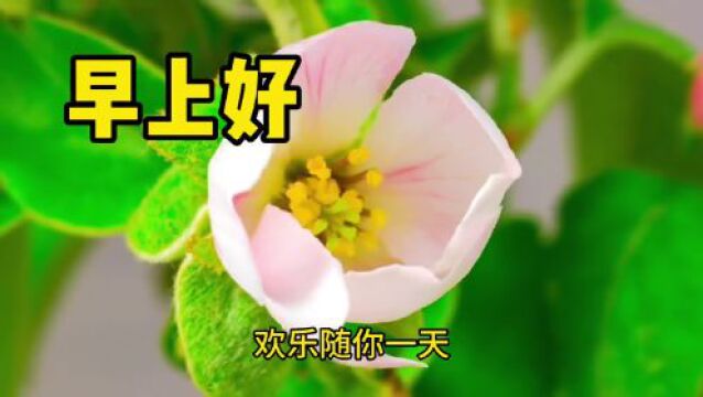 【5月18日新的一天】祝您天天开心,早安吉祥