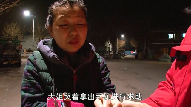 原来还真有绿色的小猫,这并不是天生如此,最后有爱救援