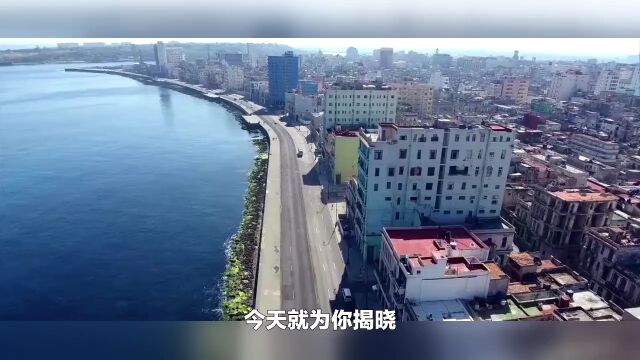 巴西签证原来这么简单,还不快收藏!!!