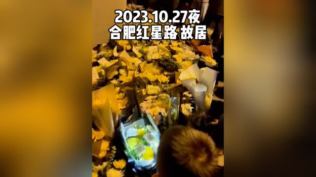 “这里堆满鲜花”合肥红星路80号:掩面哭泣的人们缅怀李克强总理