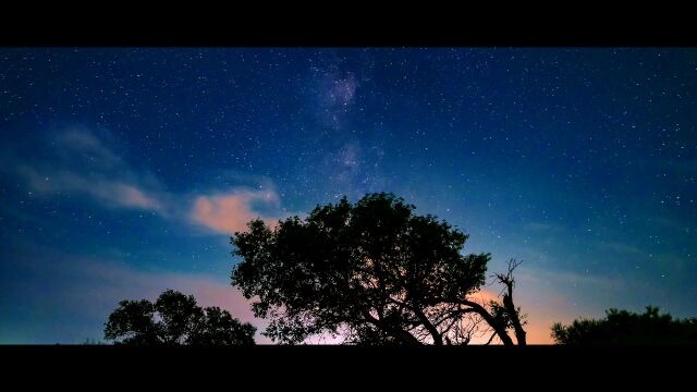 宣传片《生物多样 魅力昆明》5分钟(中文版)