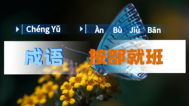 按部就班|一一学语