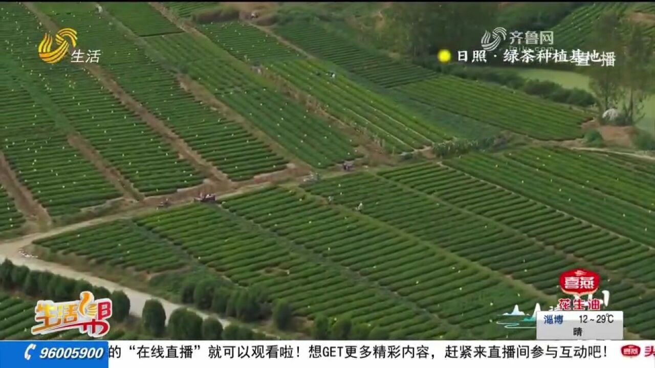 最美人间五月天!邂逅山东最美乡村,在诗意田园里寻觅乡愁