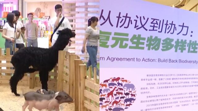 长沙举行“国际生物多样性日”宣传活动,助力生物多样性保护