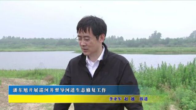 潘东旭开展巡河并督导河道生态修复工作