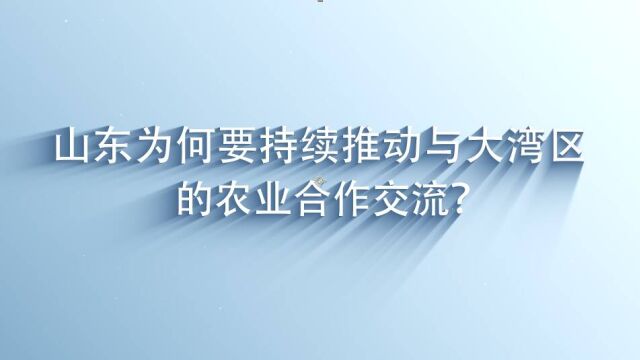 2023港澳山东周|大湾区“菜篮子”里有哪些山东好品?