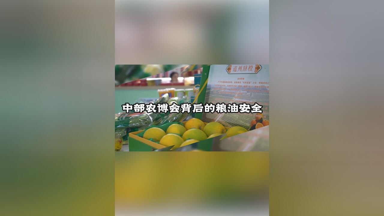 大湖之南 |一粒好米、一滴好油如何“炼”成?中部农博会三个“高地”上有答案