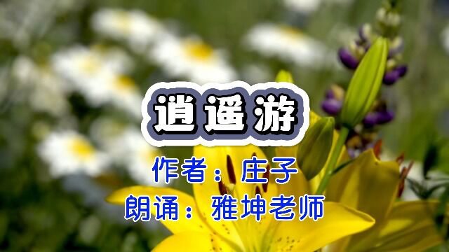 庄子《逍遥游》(节选),雅坤老师朗诵