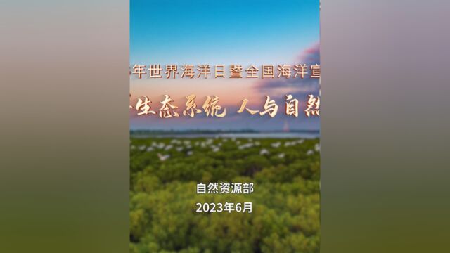 2023年世界海洋日暨全国海洋宣传日主题宣传片来了!