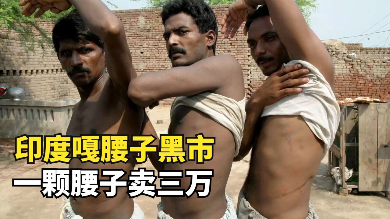 揭秘印度嘎腰子集团,一颗新鲜腰子3万,精壮小伙争相卖肾