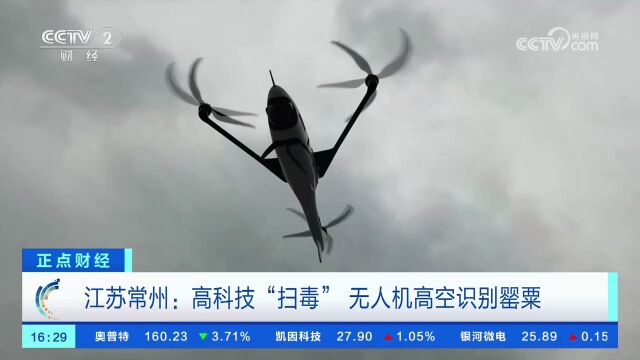 江苏常州:高科技“扫毒” 无人机高空识别罂粟