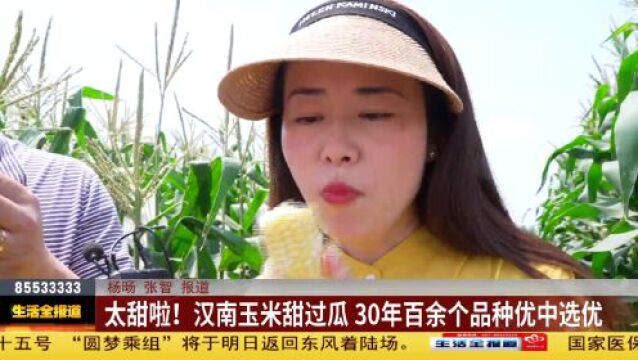 太甜啦!汉南玉米甜过瓜 30年百余个品种优中选优