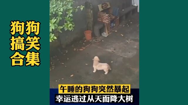 系列大全